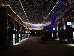-绿地·中山里