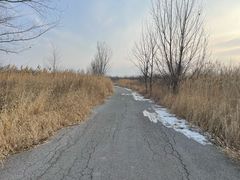 -天津东丽湖风景区