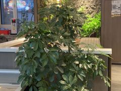 -纪林菜馆·博山菜老字号(华光路店)