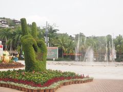 -呀诺达热带雨林