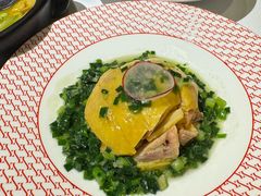 -圆苑(金茂店)