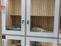 -爱洗澡的猫(天河路店)