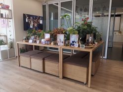-dōTERRA多特瑞精油生活馆