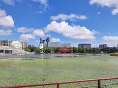 -南汇新城城市公园