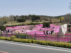 -棒棰岛宾馆景区