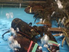 -蟹之国·精品蟹料理(极地店)