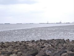 -上海吴淞炮台湾国家湿地公园