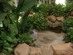 -品足轩足疗·按摩·SPA(朗晴店)