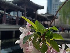 -元大都城垣遗址公园