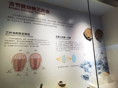 -重庆自然博物馆(新馆)