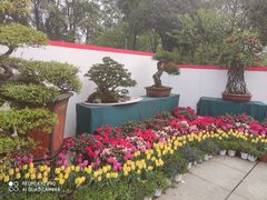 -南山植物园