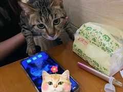 -银子铁板烧料理自助餐(人民广场店)