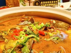 -润苑·悦椿轩(徐汇万科中心一期店)
