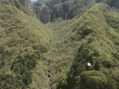 -王莽岭风景区