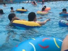 -重庆海昌加勒比海水世界