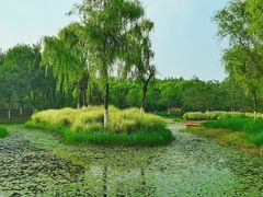-东郊湿地公园
