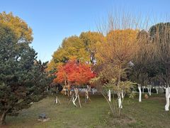 -沙市市中山公园