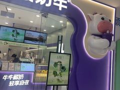 -一只酸奶牛(双流万达广场店)