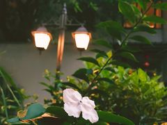 -默迹咖啡馆