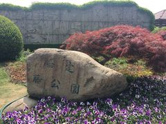 -嘉定紫藤园
