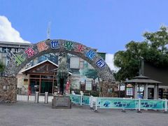 -北京鹿世界主题园