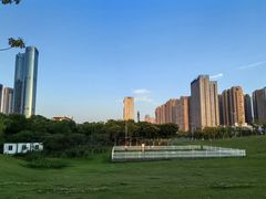 -艾溪湖湿地公园