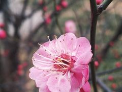 -山东大学(趵突泉校区)