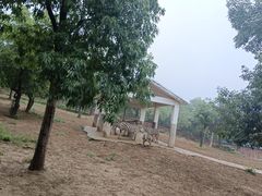 -石家庄市动物园