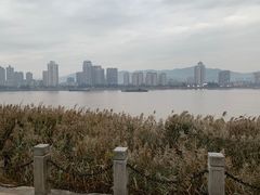 -江心屿景区