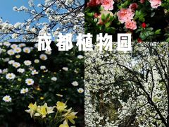 -棠湖公园