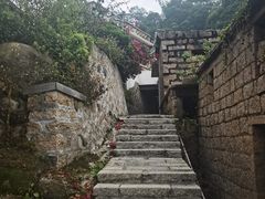 -花竹村
