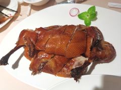 -圆苑(兴国路店)