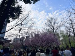 -堤角公园