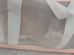 -半岛宠物医院24小时·内窥镜·牙科·碎石中心(府城大道店)