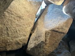 -鲁山国家森林公园