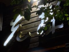 -先机泉水鸡汤(南山老君洞店)