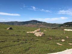 -空中草原