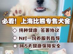 -萌宠之家·腊肠犬·马尔泰·小体犬舍