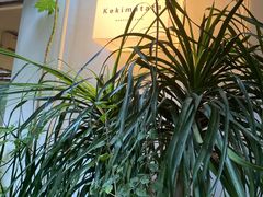-Kekimatata 生日蛋糕·烘焙教学