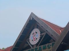 -上海海湾国家森林公园