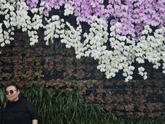 -石家庄市植物园