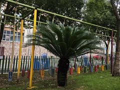 -嘉兴清池酒店温泉