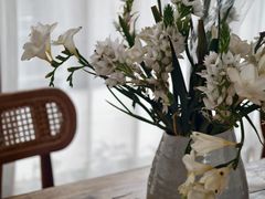 -柠檬花院烤肉·围炉煮茶·草坪团建·生日派对(三圣乡店)