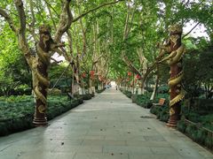 -杭州黄龙洞