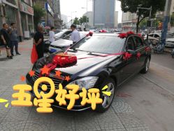 -蚂蚁婚车