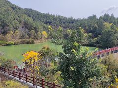 -广州白江湖森林公园