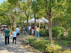 -上海海湾国家森林公园