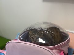 -达爱动物医院·犬猫分区·CT·复杂眼科(远洋山水分院)