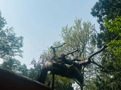 -潭柘寺景区