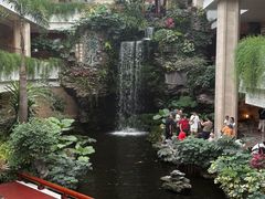 -广州白天鹅宾馆